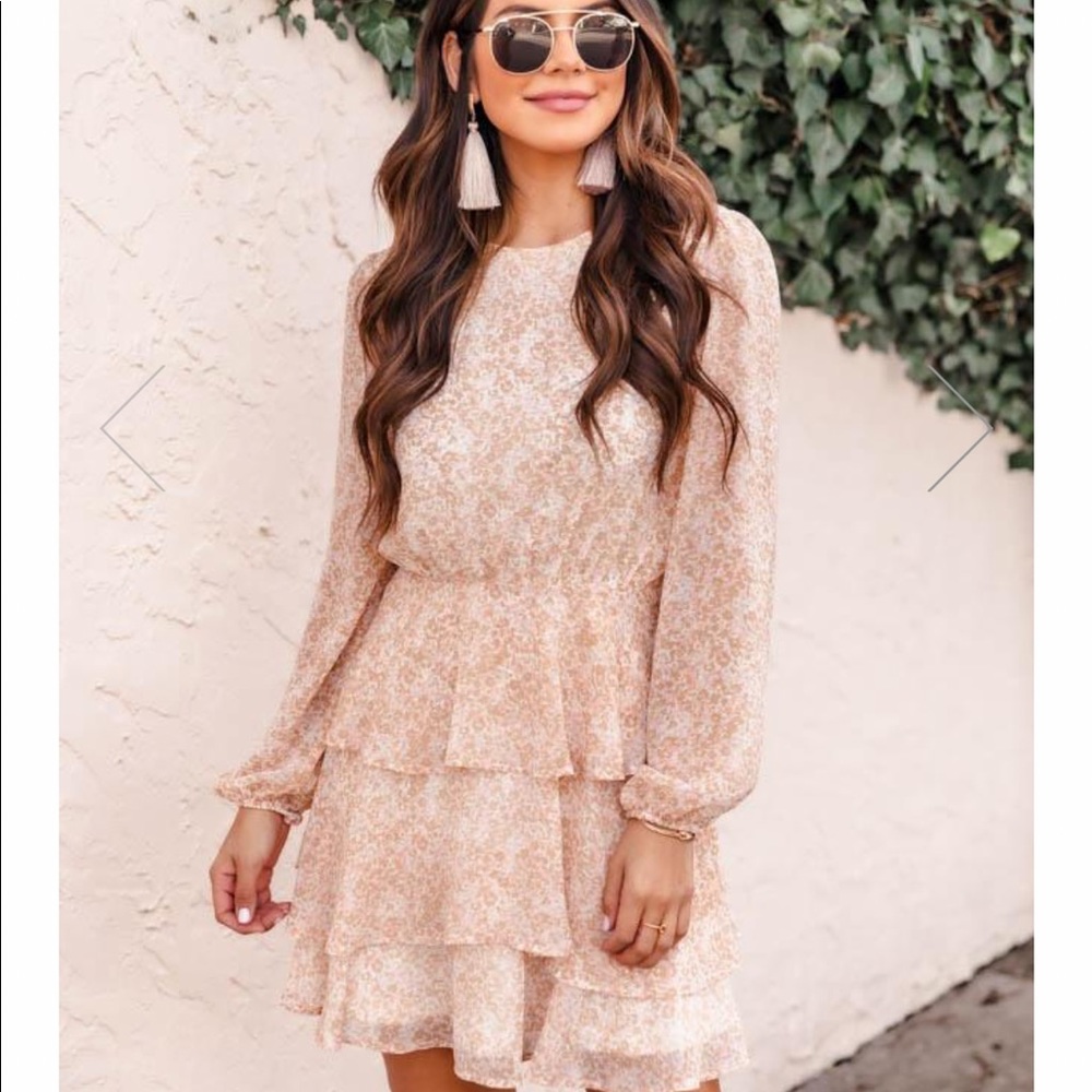 NWOT!! PINK LILY Poetic Love Ruffle Hem Dress